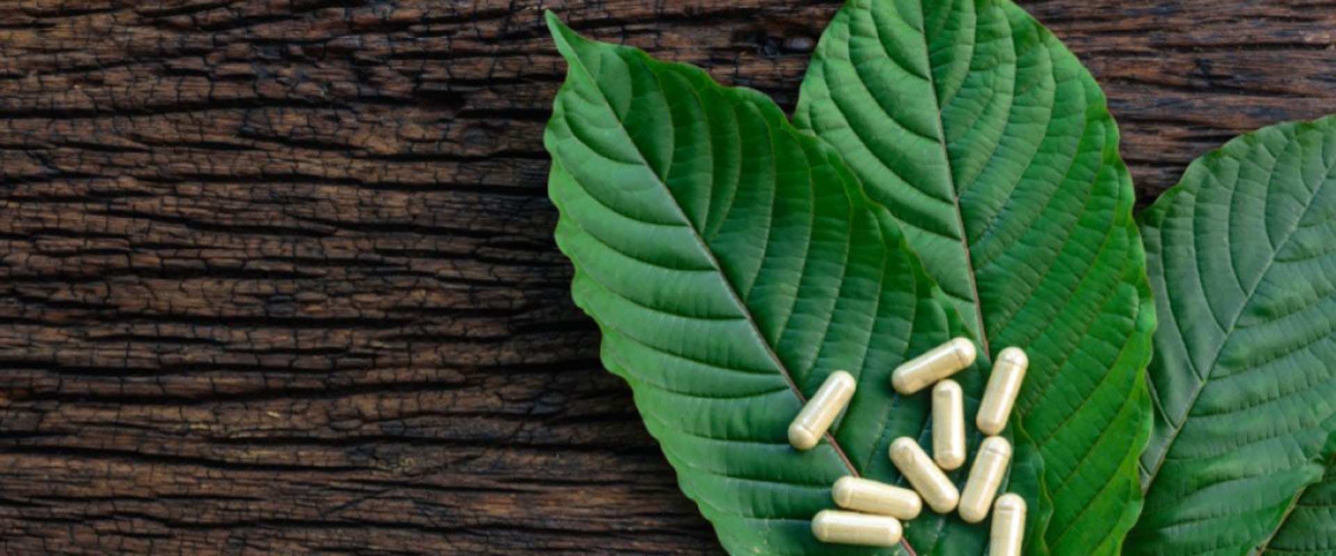 Kratom With THC For Pain Relief: Omaha’s Natural Solution