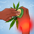 What is better for nerve pain cbd or thc?